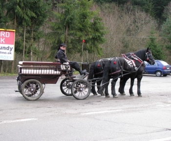 sv. Mikuláš 2008