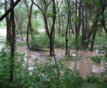 Povodeň 24.07.2008