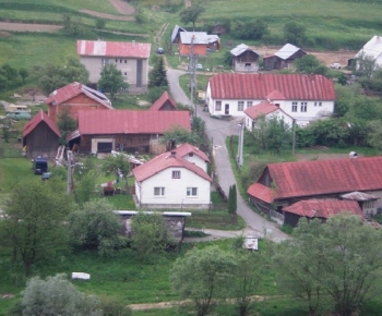 Kače