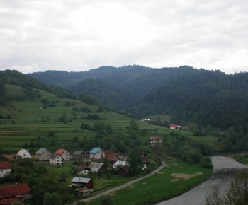 Kače