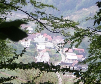 Kače