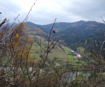 Kače