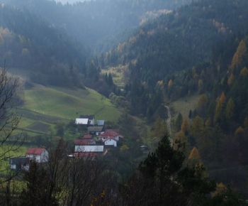 Kače