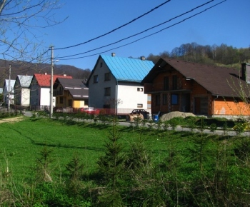 Kače